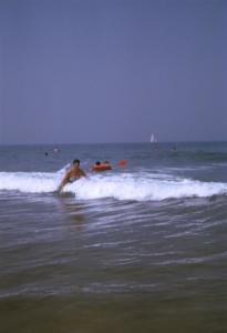 incla (59)