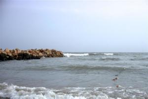 incla (609)