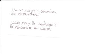 Numérisation 20170624 (125)