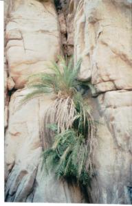 Numérisation 20170624 (131)