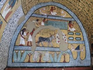 IMG 20200119 080900 (Copier)