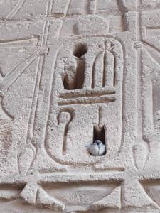 IMG 20200119 133404 (Copier)