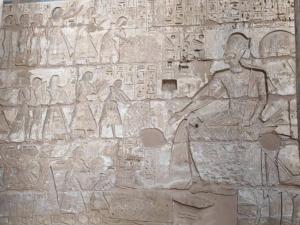 IMG 20200119 134528 (Copier)