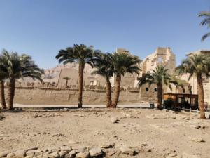 IMG 20200119 141517 (Copier)