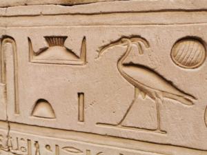 IMG 20200120 083531 (Copier)