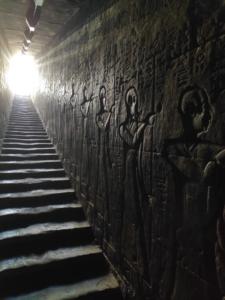 IMG 20200120 083830 (Copier)