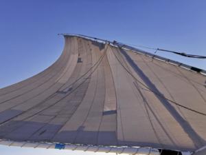 IMG 20200121 151737 (Copier)