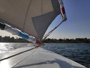 IMG 20200121 152626 1 (Copier)