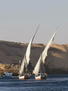 IMG 20200121 161201 (Copier)