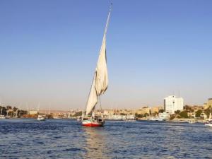 IMG 20200121 162257 (Copier)