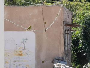 IMG 20200123 105006 (Copier)