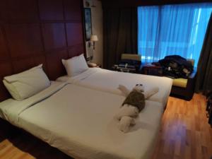 IMG 20200123 125622 (Copier)