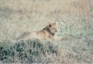 Numérisation 20170624 (111)