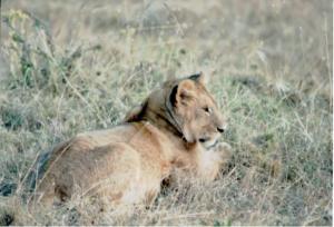 Numérisation 20170624 (113)