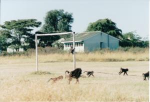 Numérisation 20170624 (122)