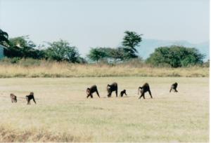 Numérisation 20170624 (123)