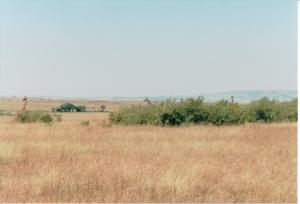 Numérisation 20170624 (125)