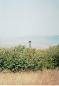 Numérisation 20170624 (126)