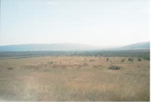 Numérisation 20170624 (65)