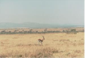 Numérisation 20170624 (67)