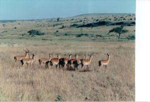 Numérisation 20170624 (69)