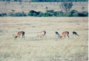 Numérisation 20170624 (70)