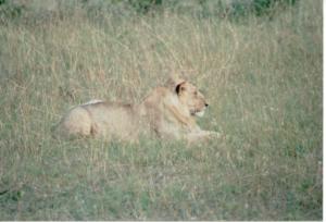 Numérisation 20170624 (92)