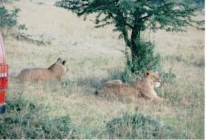 Numérisation 20170624 (95)