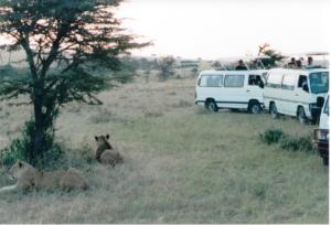 Numérisation 20170624 (97)