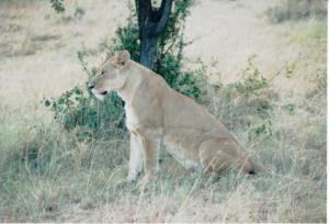 Numérisation 20170624 (99)