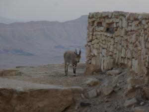 TerreSainte-date (3439)