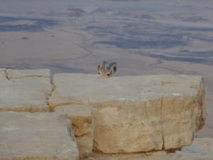 TerreSainte-date (3455)