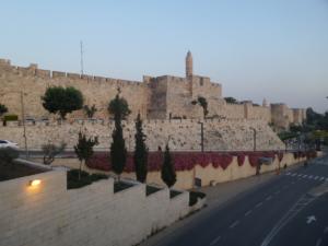 TerreSainte-date (155)