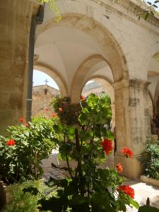 TerreSainte-date (221)