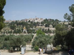 TerreSainte-date (255)