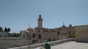 TerreSainte-date (258)