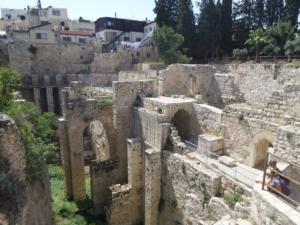 TerreSainte-date (272)