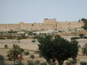 TerreSainte-date (344)