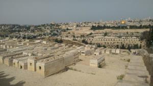 TerreSainte-date (382)