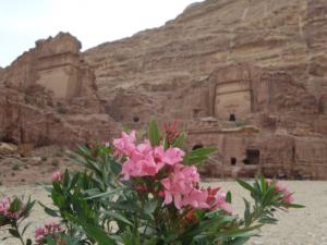 TerreSainte-date (1924)