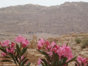 TerreSainte-date (2044)