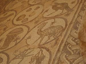 TerreSainte-date (2058)