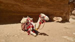 TerreSainte-date (2298)