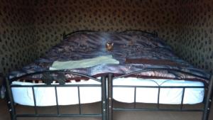 TerreSainte-date (2588)