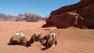 TerreSainte-date (2754)