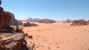 TerreSainte-date (2795)