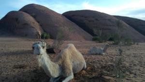 TerreSainte-date (2949)