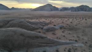 TerreSainte-date (2976)