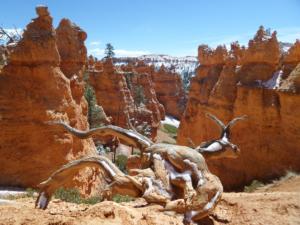 OuestUSA-date (4544)