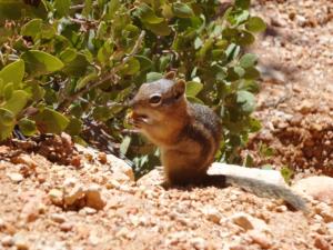 OuestUSA-date (4579)